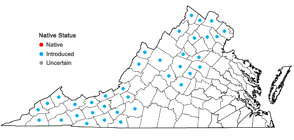 Locations ofSpiraea japonica L. f. in Virginia