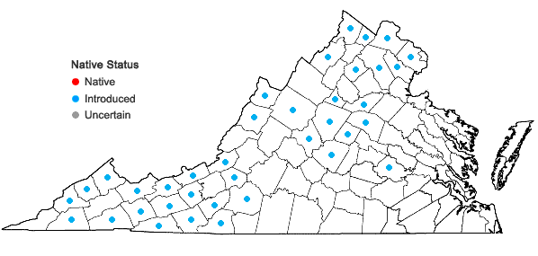 Locations ofSpiraea japonica L. f. in Virginia