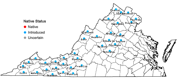 Locations ofSpiraea japonica L. f. in Virginia