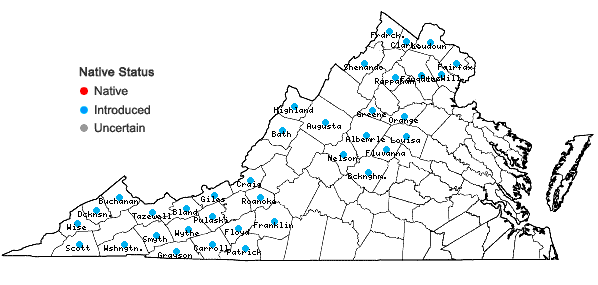 Locations ofSpiraea japonica L. f. in Virginia