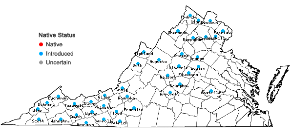 Locations ofSpiraea japonica L. f. in Virginia