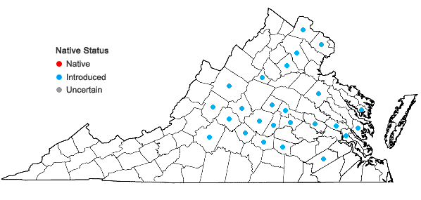 Locations ofSpiraea prunifolia Sieb. & Zucc. in Virginia