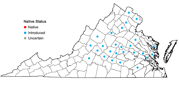 Locations ofSpiraea prunifolia Sieb. & Zucc. in Virginia