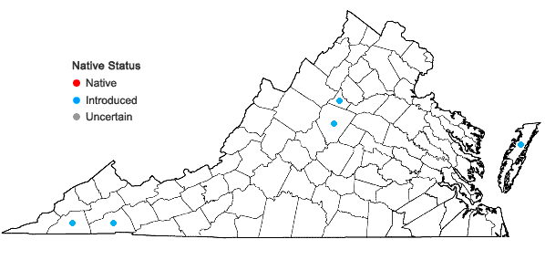 Locations ofSpiraea salicifolia L. in Virginia