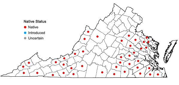 Locations ofSpiraea tomentosa L. in Virginia
