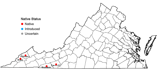 Locations ofSpiraea virginiana Britt. in Virginia