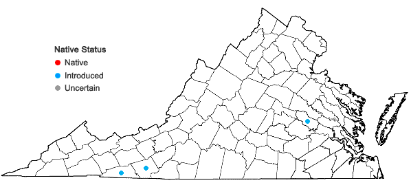 Locations ofSpiraea ×billiardii Herinq. in Virginia