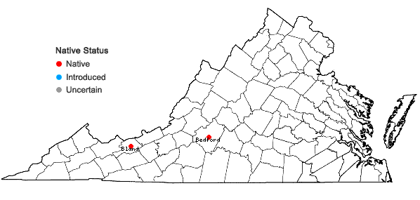 Locations ofSpiranthes arcisepala M.C. Pace in Virginia