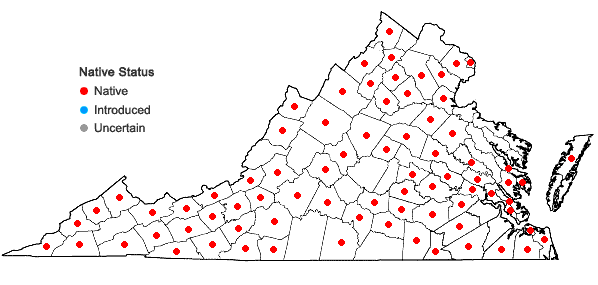 Locations ofSpiranthes cernua (L.) L.C. Rich. in Virginia