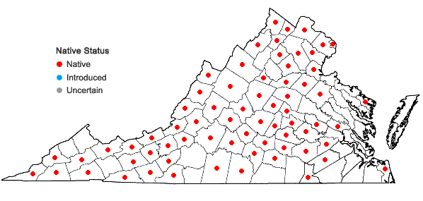 Locations ofSpiranthes lacera (Raf.) Raf. var. gracilis (Bigelow) Luer in Virginia