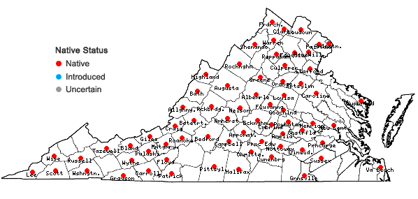 Locations ofSpiranthes lacera (Raf.) Raf. var. gracilis (Bigelow) Luer in Virginia