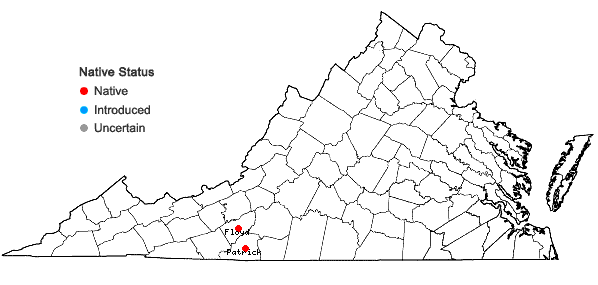 Locations ofSpiranthes lacera (Raf.) Raf. var. lacera in Virginia