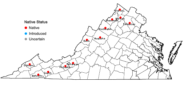 Locations ofSpiranthes lucida (H.H.Eat.) Ames in Virginia