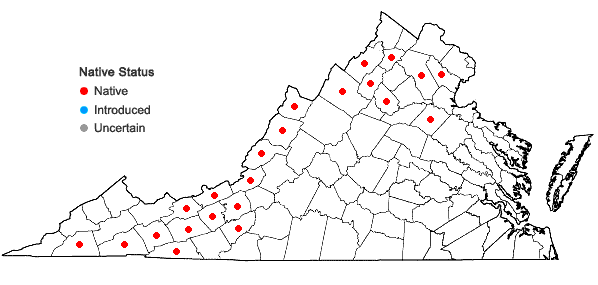 Locations ofSpiranthes ochroleuca (Rydb.) Rydb. in Virginia