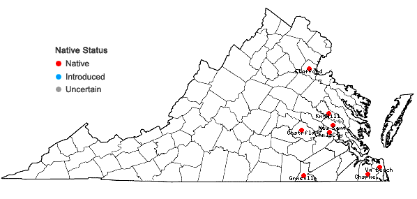 Locations ofSpiranthes odorata (Nutt.) Lindl. in Virginia