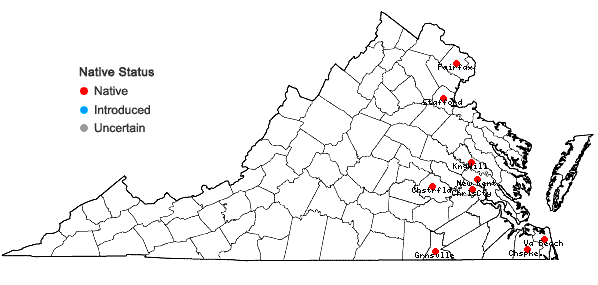 Locations ofSpiranthes odorata (Nutt.) Lindl. in Virginia