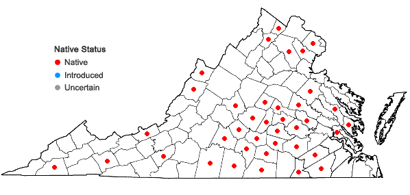 Locations ofSpiranthes ovalis Lindl. var. erostellata Catling in Virginia