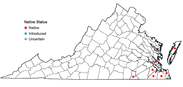 Locations ofSpiranthes praecox (Walt.) S.Wats. in Virginia