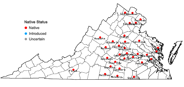 Locations ofSpiranthes tuberosa Raf. in Virginia