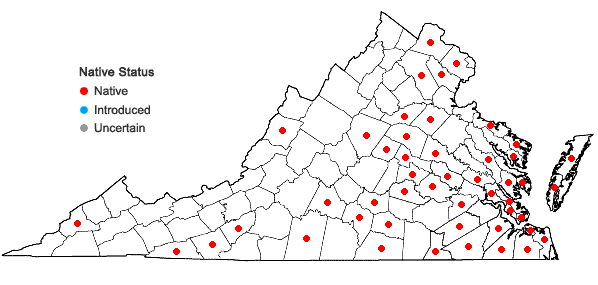 Locations ofSpiranthes vernalis Engelm. & Gray in Virginia