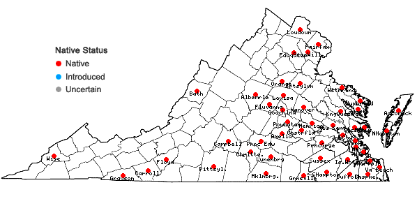 Locations ofSpiranthes vernalis Engelm. & Gray in Virginia