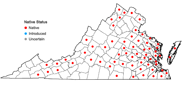 Locations ofSpirodela polyrrhiza (L.) Schleid. in Virginia