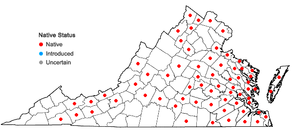 Locations ofSpirodela polyrrhiza (L.) Schleid. in Virginia