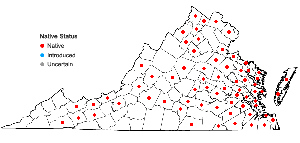 Locations ofSpirodela polyrrhiza (L.) Schleid. in Virginia