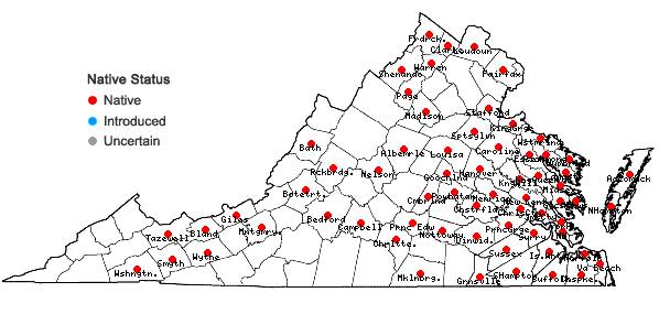Locations ofSpirodela polyrrhiza (L.) Schleid. in Virginia