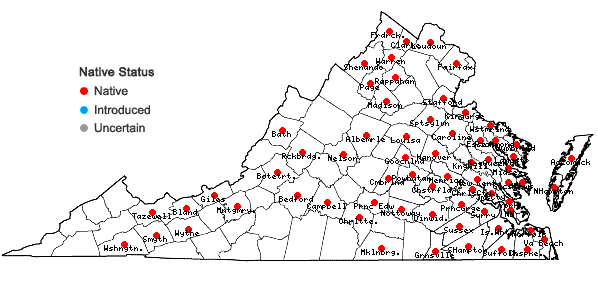 Locations ofSpirodela polyrrhiza (L.) Schleid. in Virginia