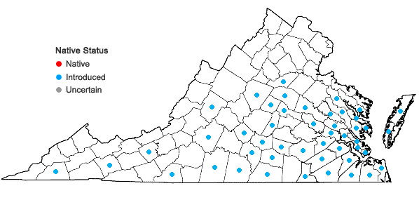 Locations ofSporobolus indicus (L.) R. Br. in Virginia