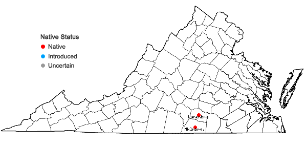 Locations ofSporobolus junceus (Beauv.) Kunth in Virginia