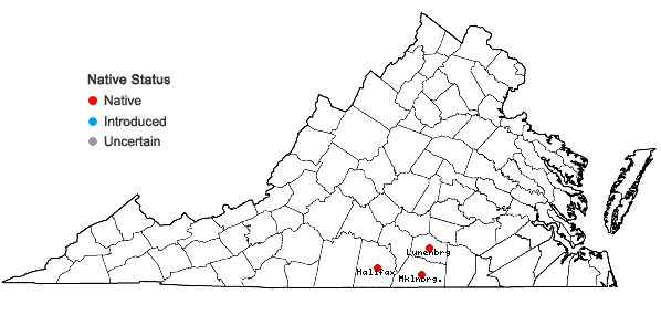 Locations ofSporobolus junceus (Beauv.) Kunth in Virginia