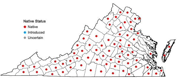 Locations ofSporobolus vaginiflorus (Torr. ex Gray) Wood in Virginia