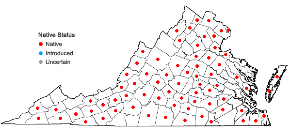 Locations ofSporobolus vaginiflorus (Torr. ex Gray) Wood in Virginia