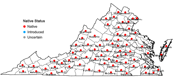 Locations ofSporobolus vaginiflorus (Torr. ex Gray) Wood in Virginia