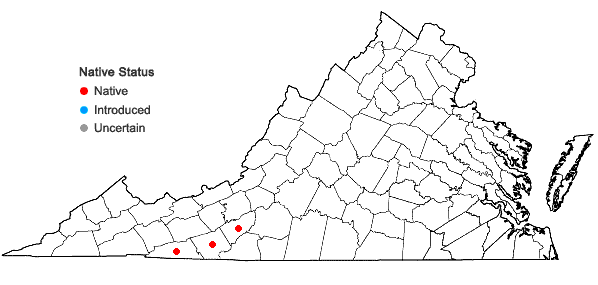 Locations ofStachys appalachiana D.B. Poindexter & J.B. Nelson in Virginia