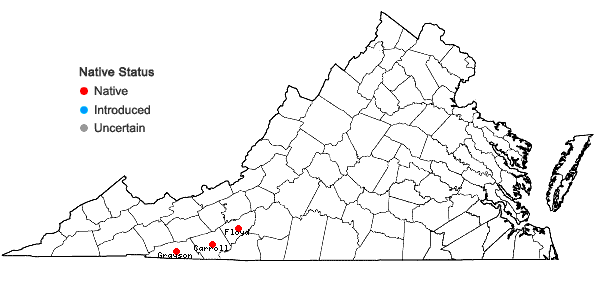 Locations ofStachys appalachiana D.B. Poindexter & J.B. Nelson in Virginia