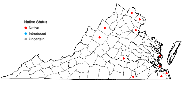 Locations ofStachys aspera Michx. in Virginia
