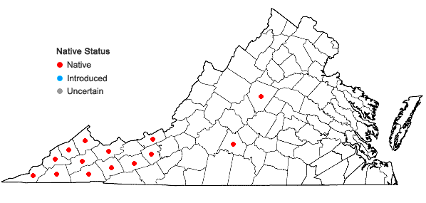Locations ofStachys cordata Riddell in Virginia