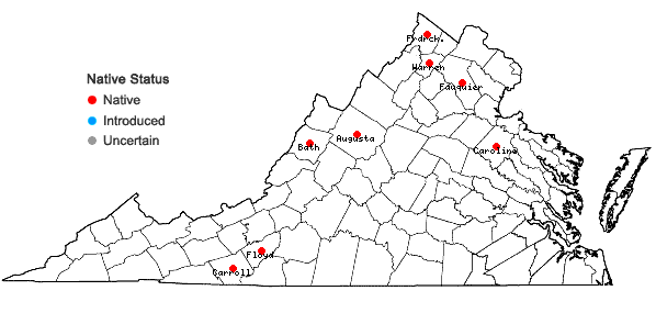 Locations ofStachys eplingii J. Nelson in Virginia