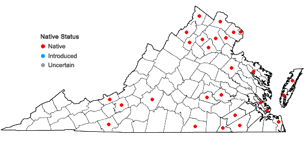 Locations ofStachys hispida Pursh in Virginia