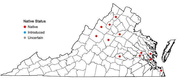 Locations ofStachys hyssopifolia Michx. in Virginia