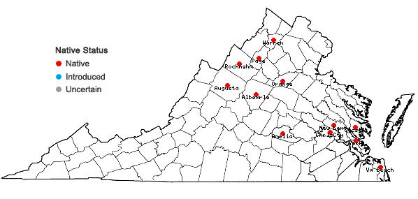 Locations ofStachys hyssopifolia Michx. in Virginia