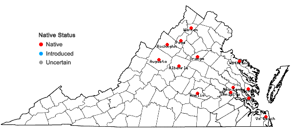 Locations ofStachys hyssopifolia Michx. in Virginia