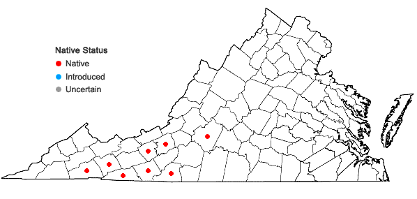 Locations ofStachys latidens Small ex Britt. in Virginia