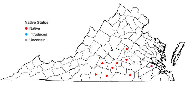 Locations ofStachys matthewsii G.P. Fleming, J.B. Nelson, & J.F. Townsend in Virginia