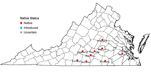 Locations ofStachys matthewsii G.P. Fleming, J.B. Nelson, & J.F. Townsend in Virginia