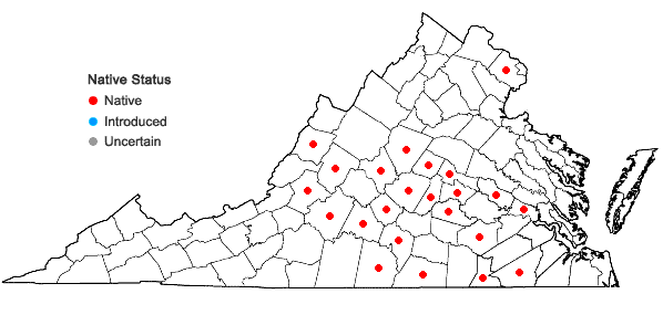 Locations ofStachys tenuifolia Willd. in Virginia