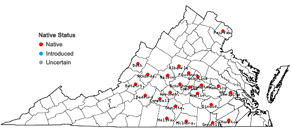 Locations ofStachys tenuifolia Willd. in Virginia